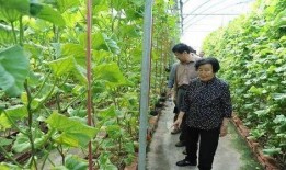 固安吃瓜最新事件爆料是真的吗,最新爆料真相揭秘